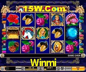 Tecnologia da Plataforma Winmi