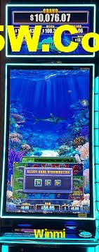 Crash Games Strategies Winmi